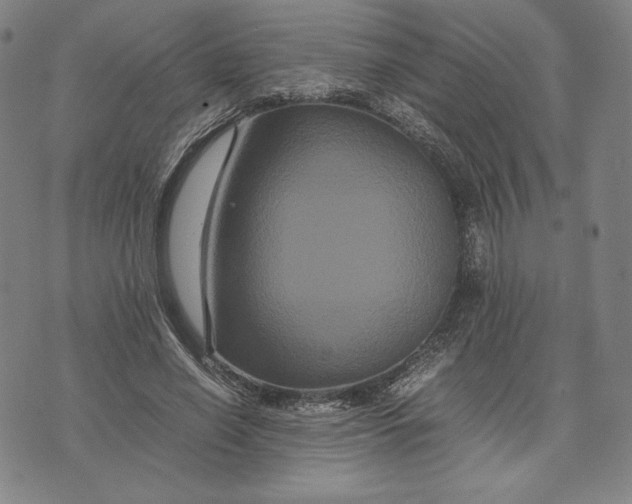 X0000071900638200607281804