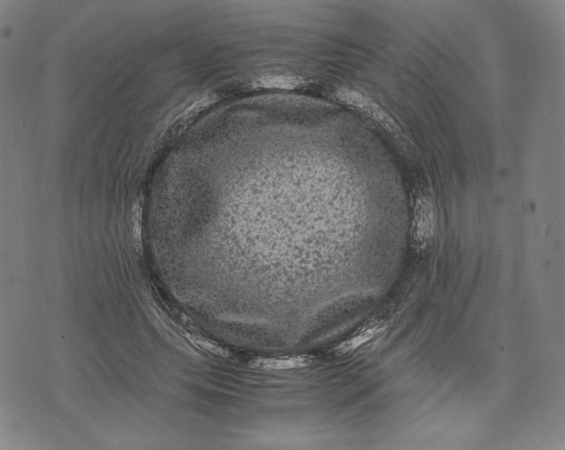 X0000071900639200607281804