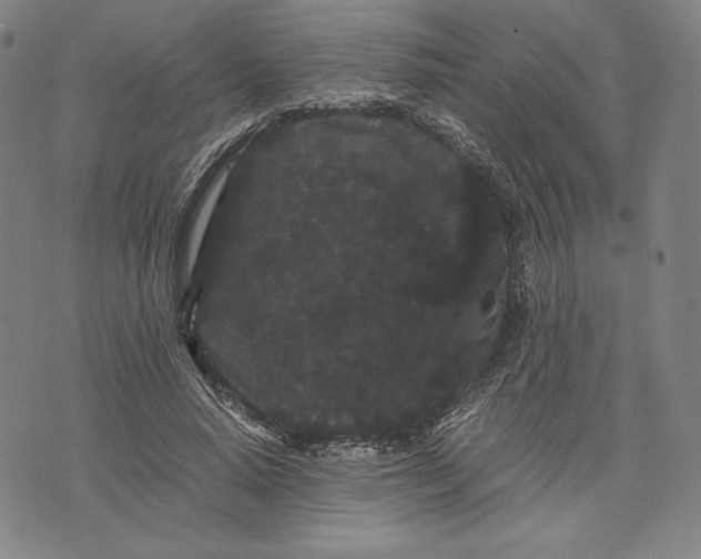 X0000071900640200607281804