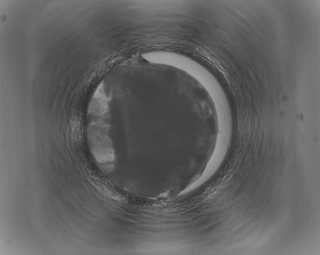 X0000071900641200607281804