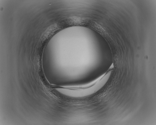 X0000071900642200607281804