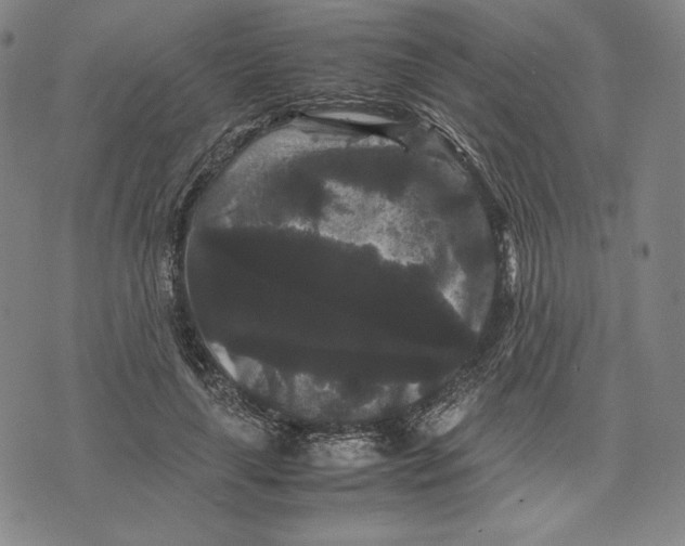 X0000071900643200607281804