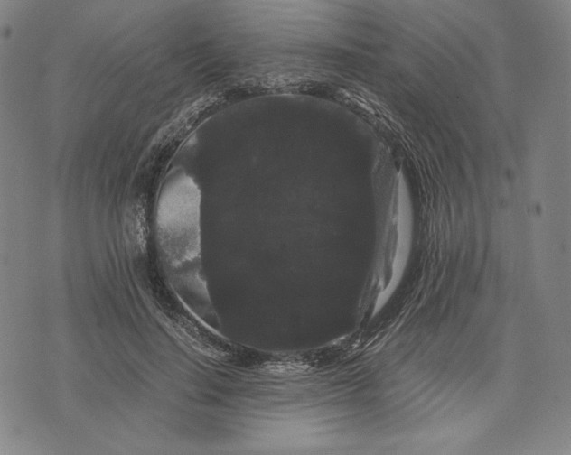 X0000071900644200607281804