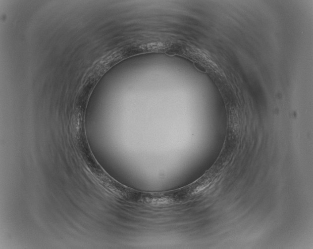 X0000071900645200607281804