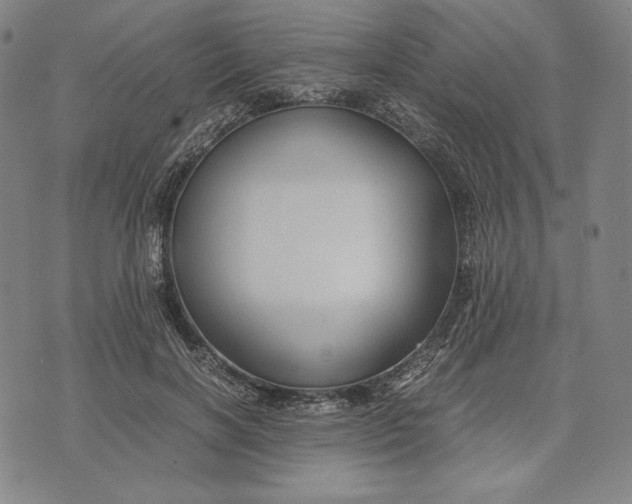 X0000071900646200607281804