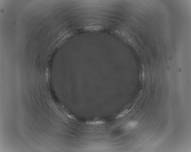 X0000071900647200607281804