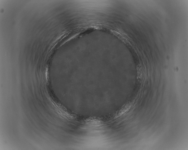 X0000071900648200607281804