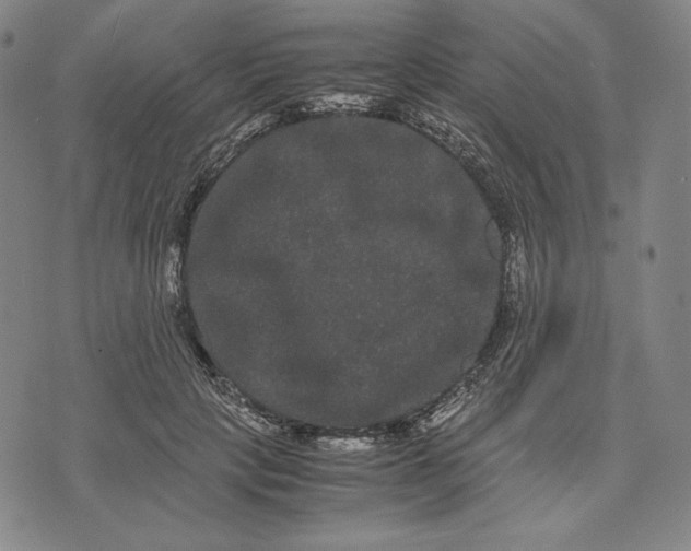 X0000071900649200607281804