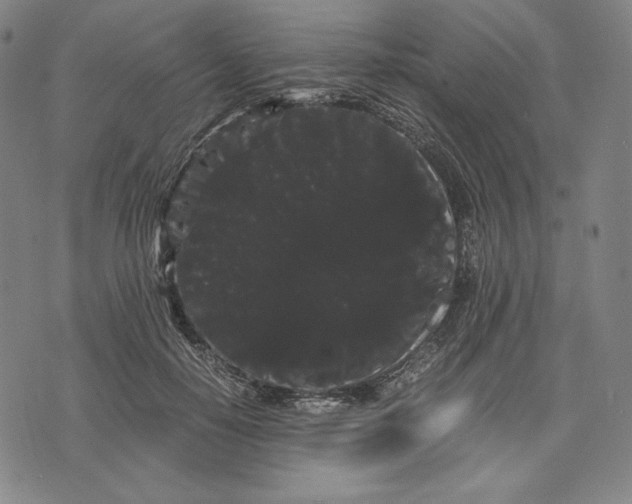 X0000071900650200607281804