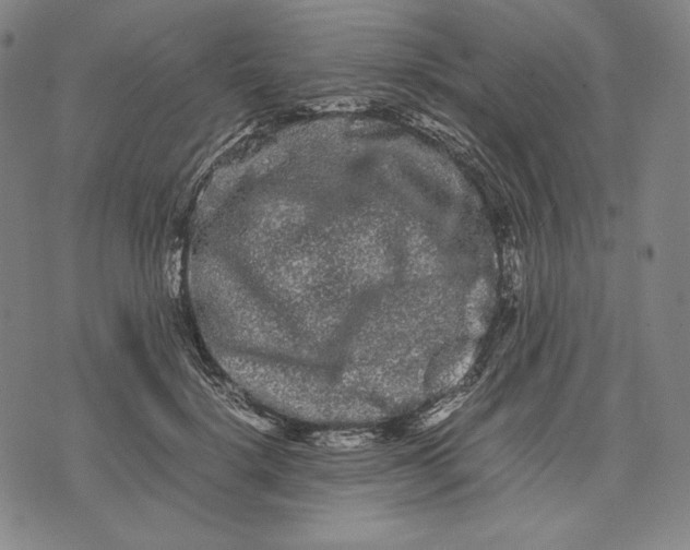 X0000071900652200607281804