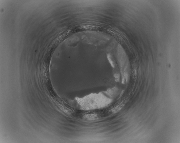 X0000071900653200607281804