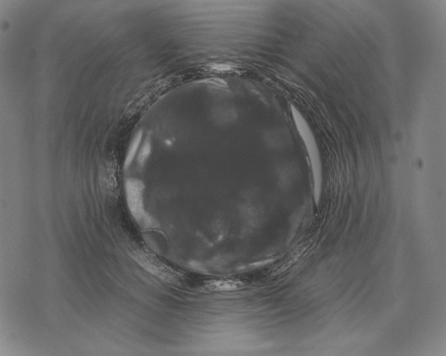 X0000071900654200607281804