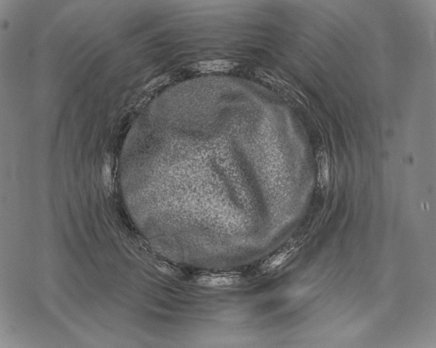 X0000071900655200607281804