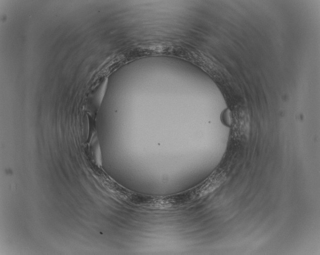 X0000071900656200607281804