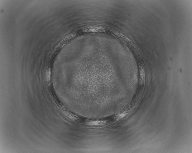 X0000071900657200607281804