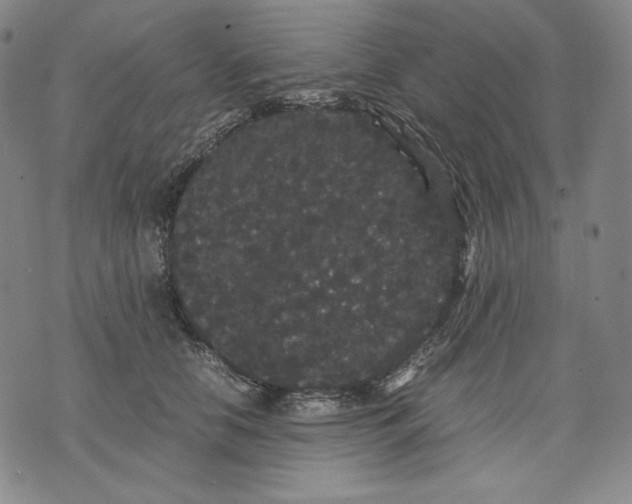 X0000071900658200607281804