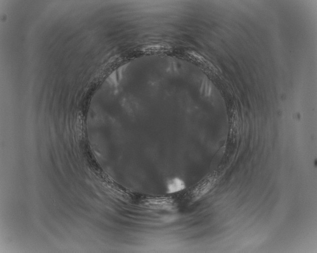 X0000071900659200607281804