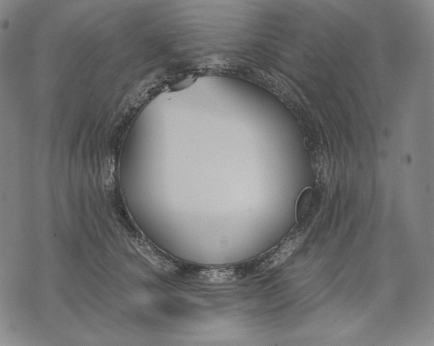 X0000071900660200607281805