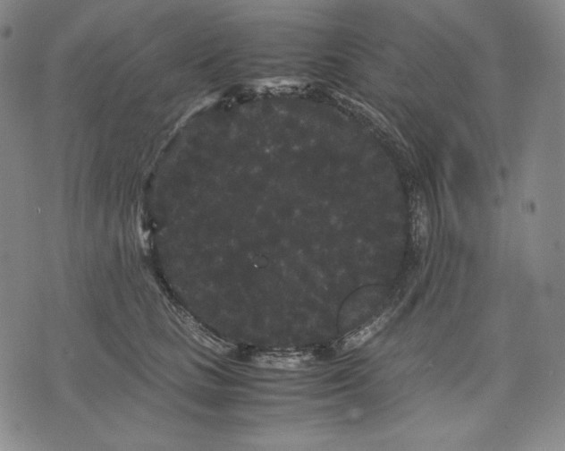 X0000071900661200607281805