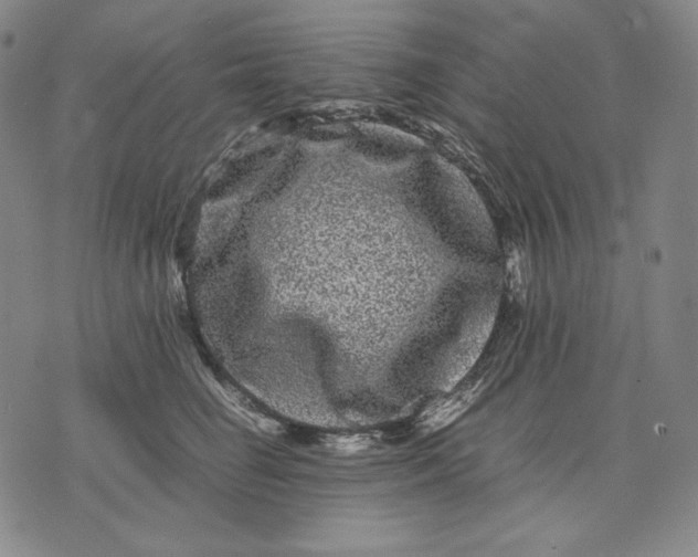 X0000071900662200607281805