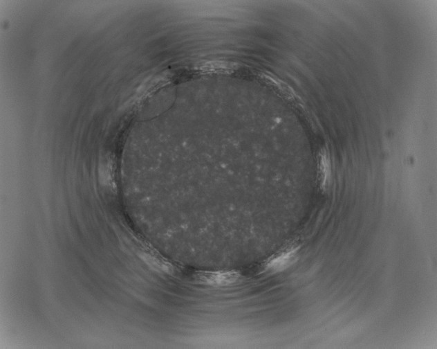 X0000071900663200607281805