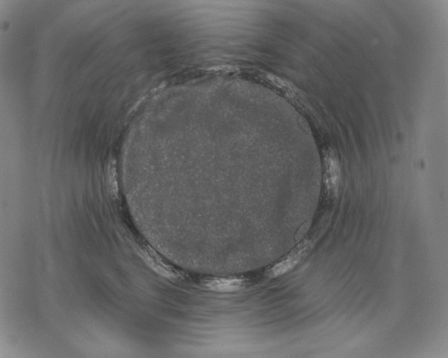 X0000071900664200607281805