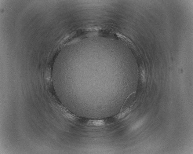 X0000071900665200607281805