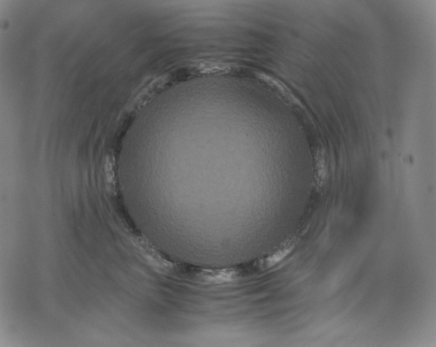 X0000071900667200607281805