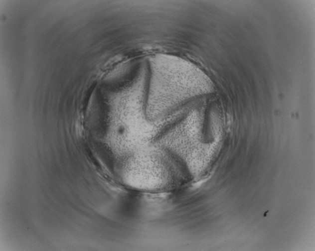 X0000071900671200607281805