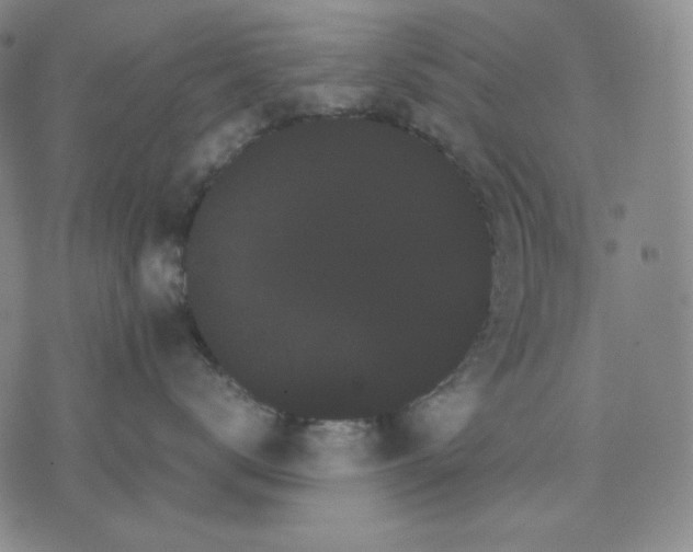 X0000071900672200607281805