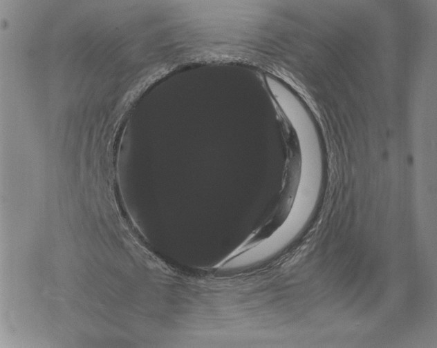 X0000071900673200607281804