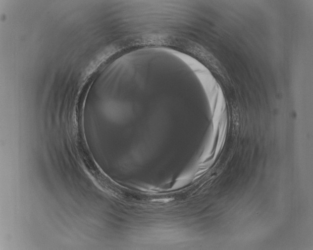 X0000071900674200607281804