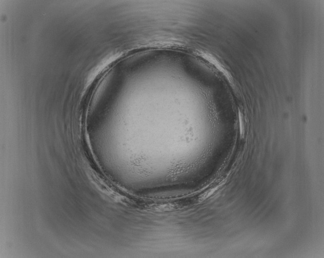 X0000071900675200607281804