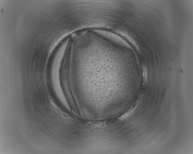 X0000071900676200607281804