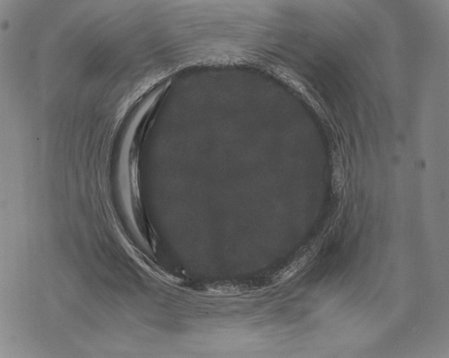 X0000071900677200607281804