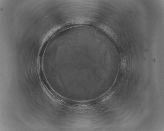 X0000071900678200607281804