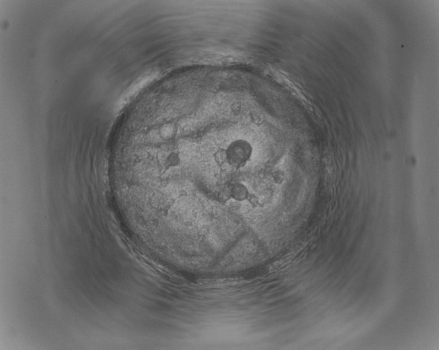 X0000071900679200607281804