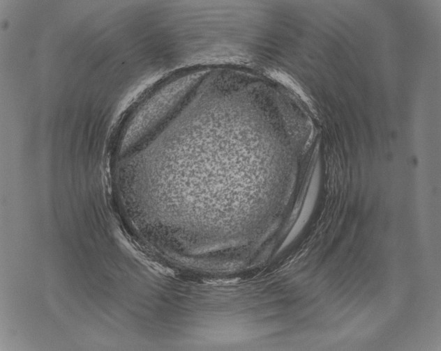 X0000071900680200607281804