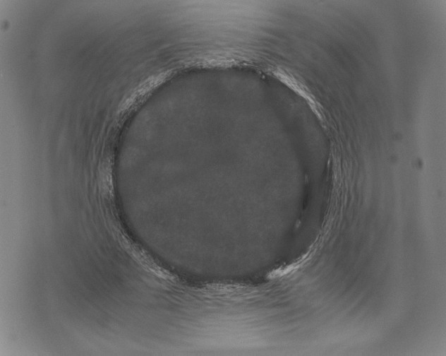 X0000071900681200607281804