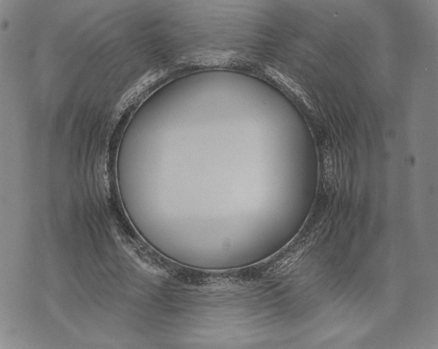 X0000071900682200607281804