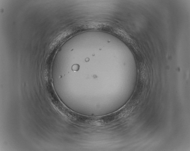 X0000071900683200607281804