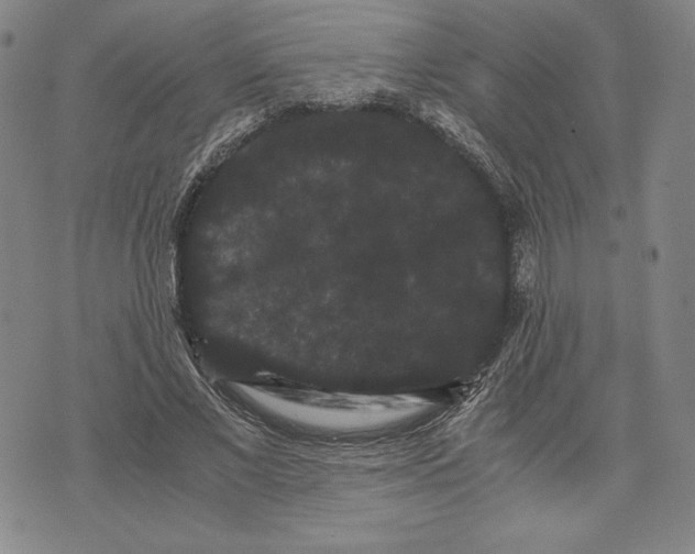 X0000071900685200607281804