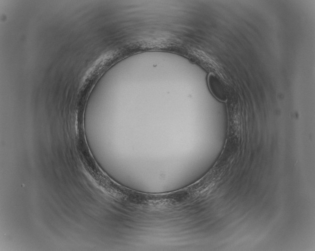 X0000071900686200607281804