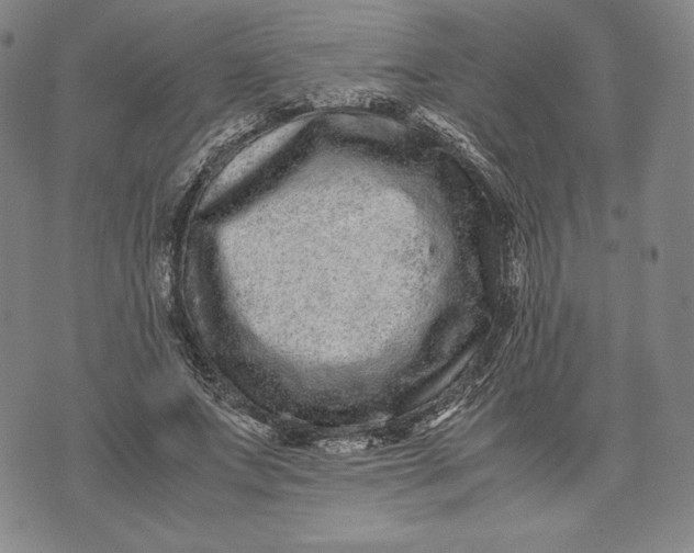 X0000071900687200607281804