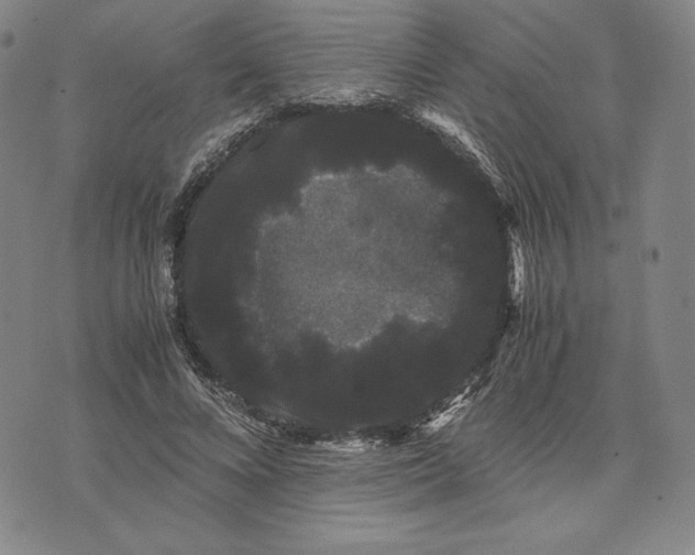 X0000071900688200607281804