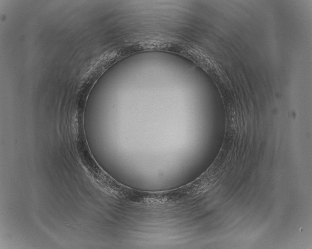 X0000071900690200607281804