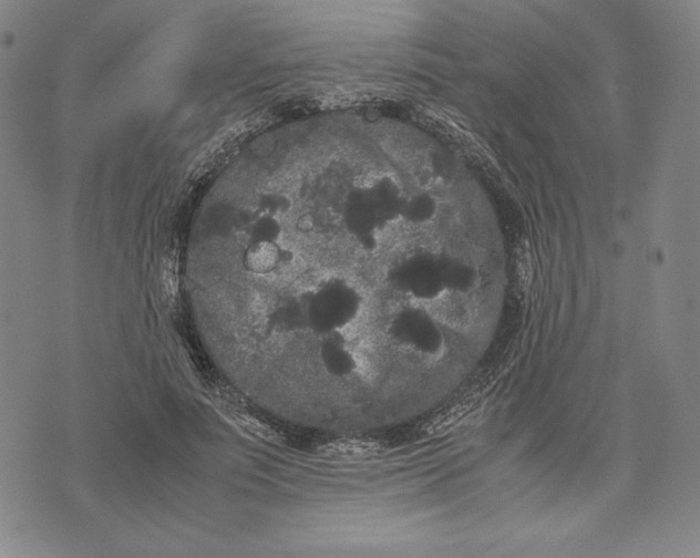 X0000071900691200607281804