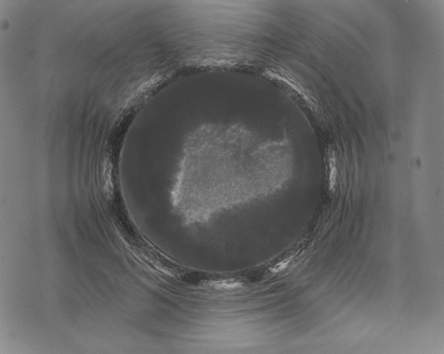 X0000071900692200607281804