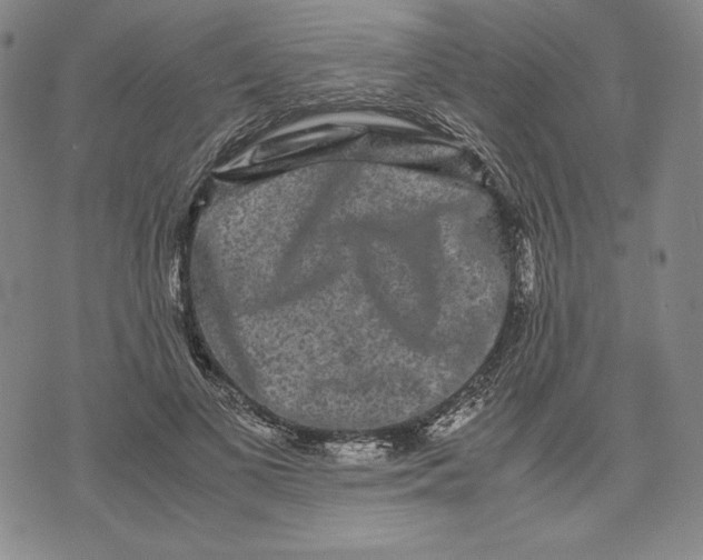 X0000071900693200607281804