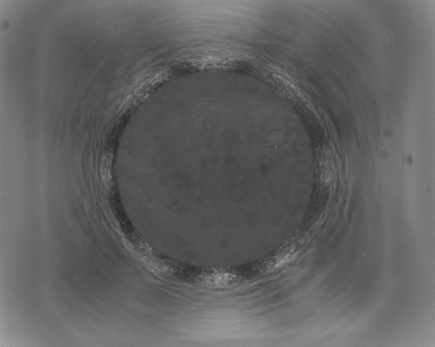 X0000071900695200607281804